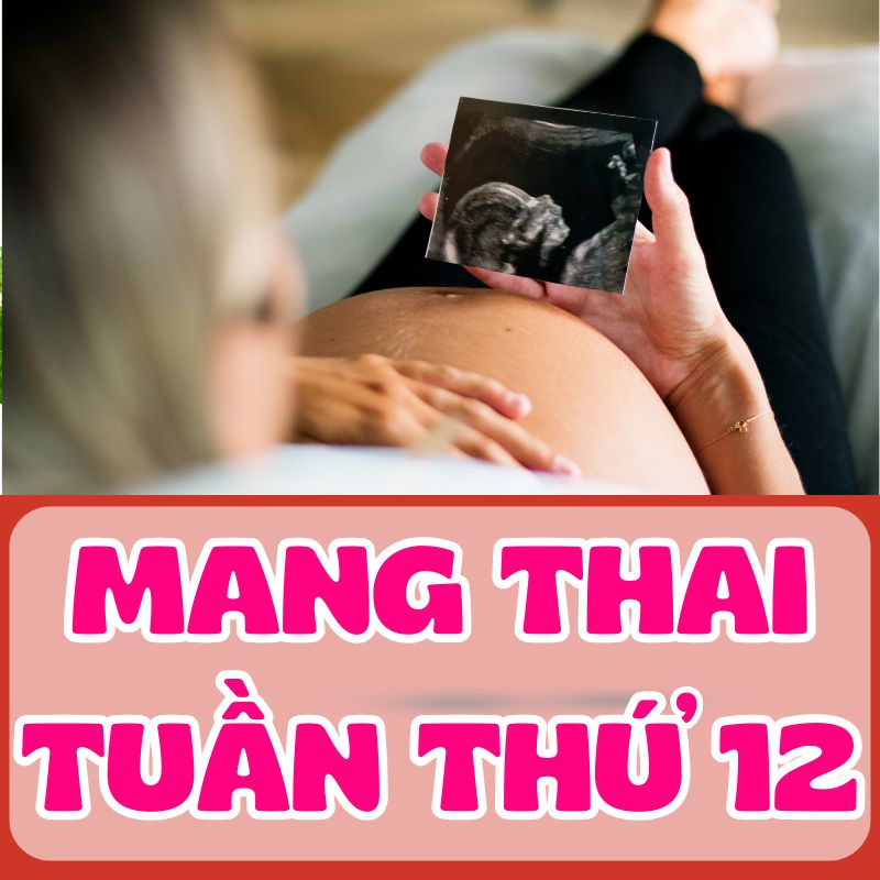 Mang thai tuần thứ 12 và sự phát triển của thai nhi